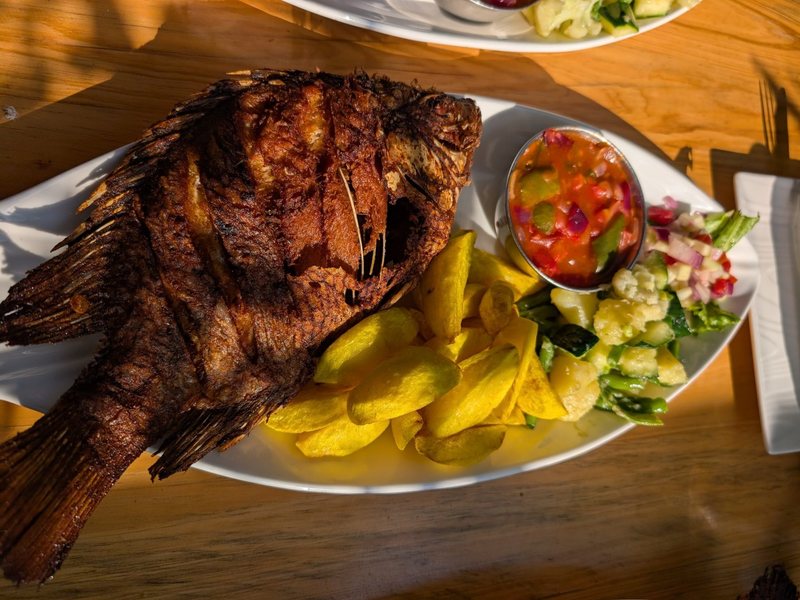 Grilled fish served with sides